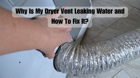 dryer vent leaking water|Why Is My Dryer Leaking Water: What to Do